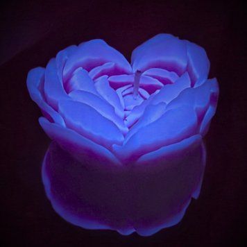 Свічка низькотемпературна люмінесцентна GlowKink фіолетова, L GK409756 фото