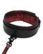 Поводок Fifty Shades of Grey Sweet Anticipation Reversible Faux Leather Collar and Lead FS83667 фото 2