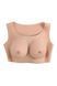 Накладні груди топ Gender X Undergarments Plate C-Cup, 28 см 841105 фото 1