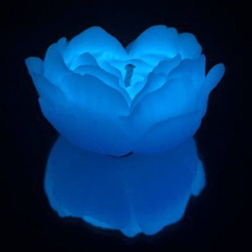 Cвiчка люмінісцентна низькотемпературна GlowKink блакитна, М GK209189 фото