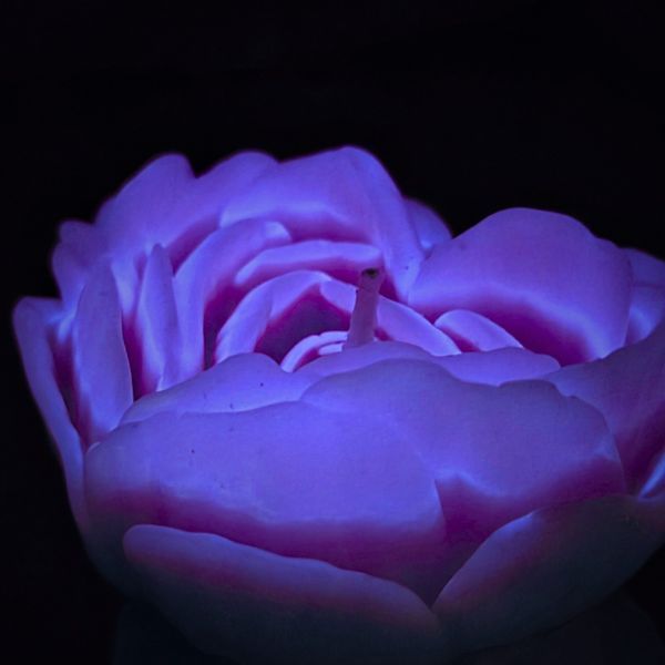 Cвiчка люмінісцентна низькотемпературна GlowKink фіолетова, М GK208908 фото