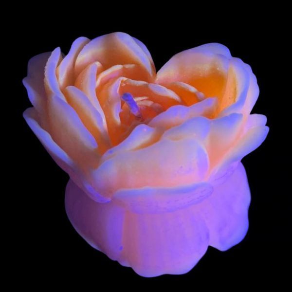 Cвiчка люмінісцентна низькотемпературна GlowKink помаранчева, М GK209196 фото