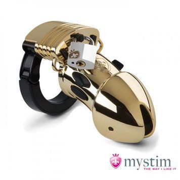 Пояс вірності з електростимуляцією Mystim Pubic Enemy No 1 Gold Edition MS46623 фото