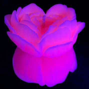 Cвiчка люмінісцентна низькотемпературна GlowKink рожева, L GK309681 фото