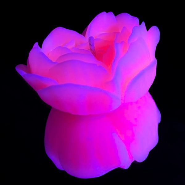 Cвiчка люмінісцентна низькотемпературна GlowKink рожева, М GK208939 фото