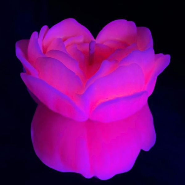Cвiчка люмінісцентна низькотемпературна GlowKink рожева, М GK208939 фото