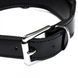 Нашийник Leather lackered, Black F61245 фото 2