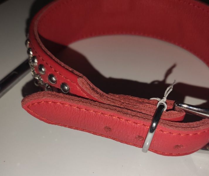Нашийник Leather Rivet F61246 фото